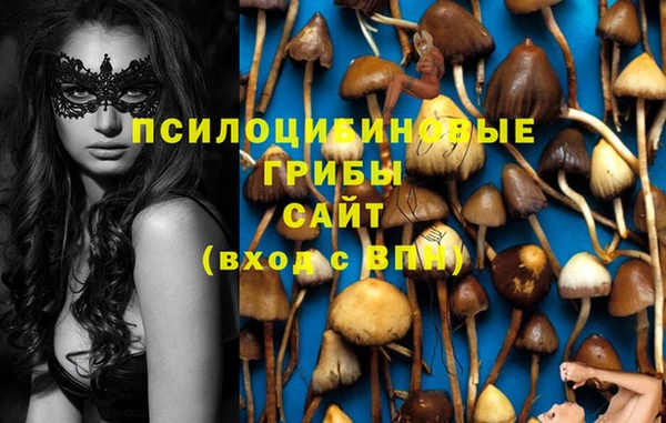 ГАЛЛЮЦИНОГЕННЫЕ ГРИБЫ Баксан